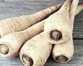 Parsnip, Hollow Crown Parsnip Seeds, Heirloom, NON GMO, Country Creek Acres