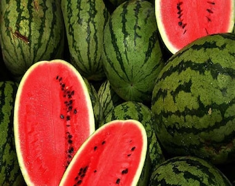 May include: A group of whole and sliced watermelons. The watermelons are green with dark green stripes. The flesh of the watermelon is red and contains black seeds.