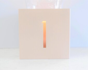 Contemporary Metal Numbered Holder
