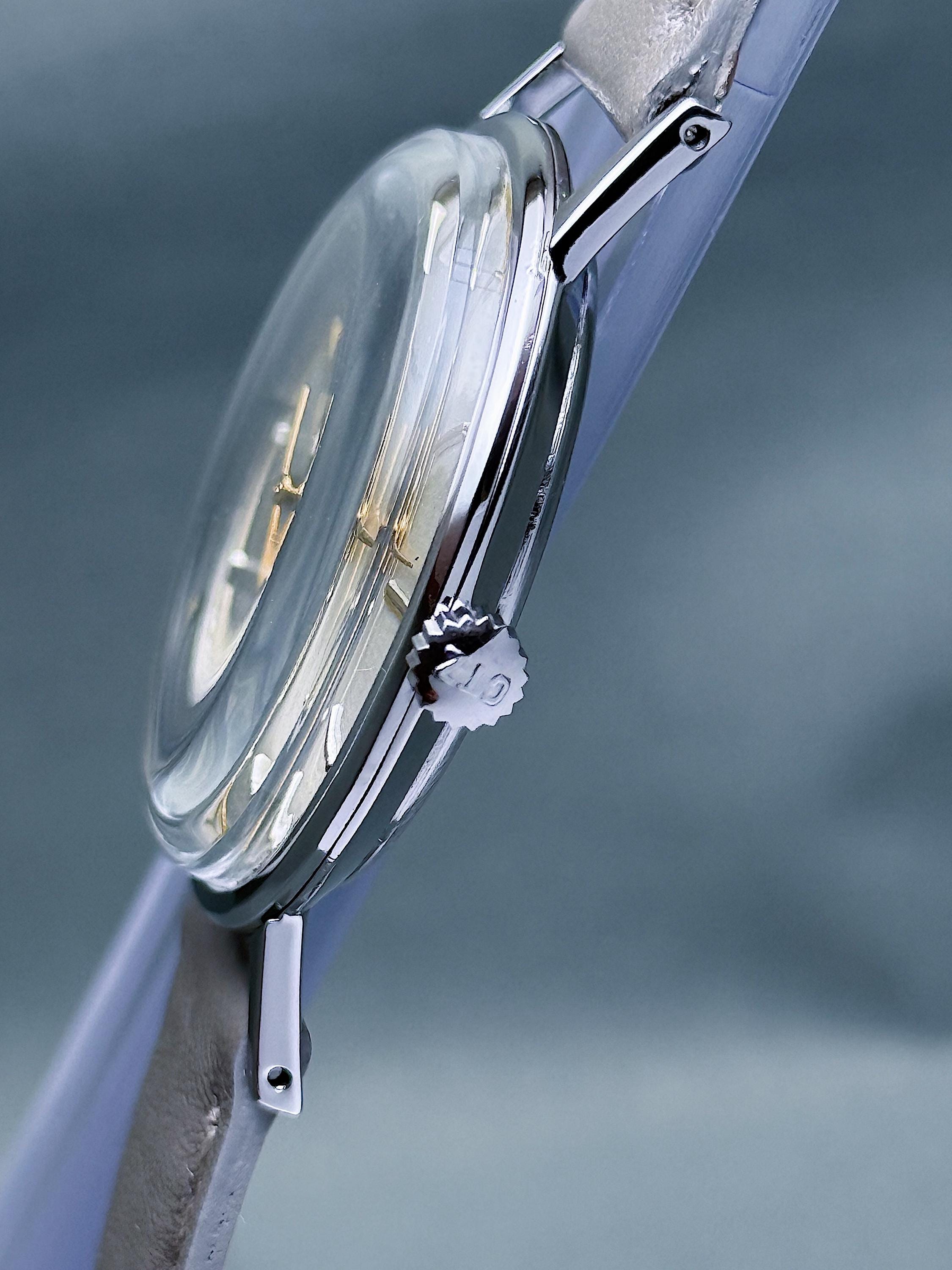 【60's】Citizen Homer para shock phynox Untitled-2024-02-27T175205.
