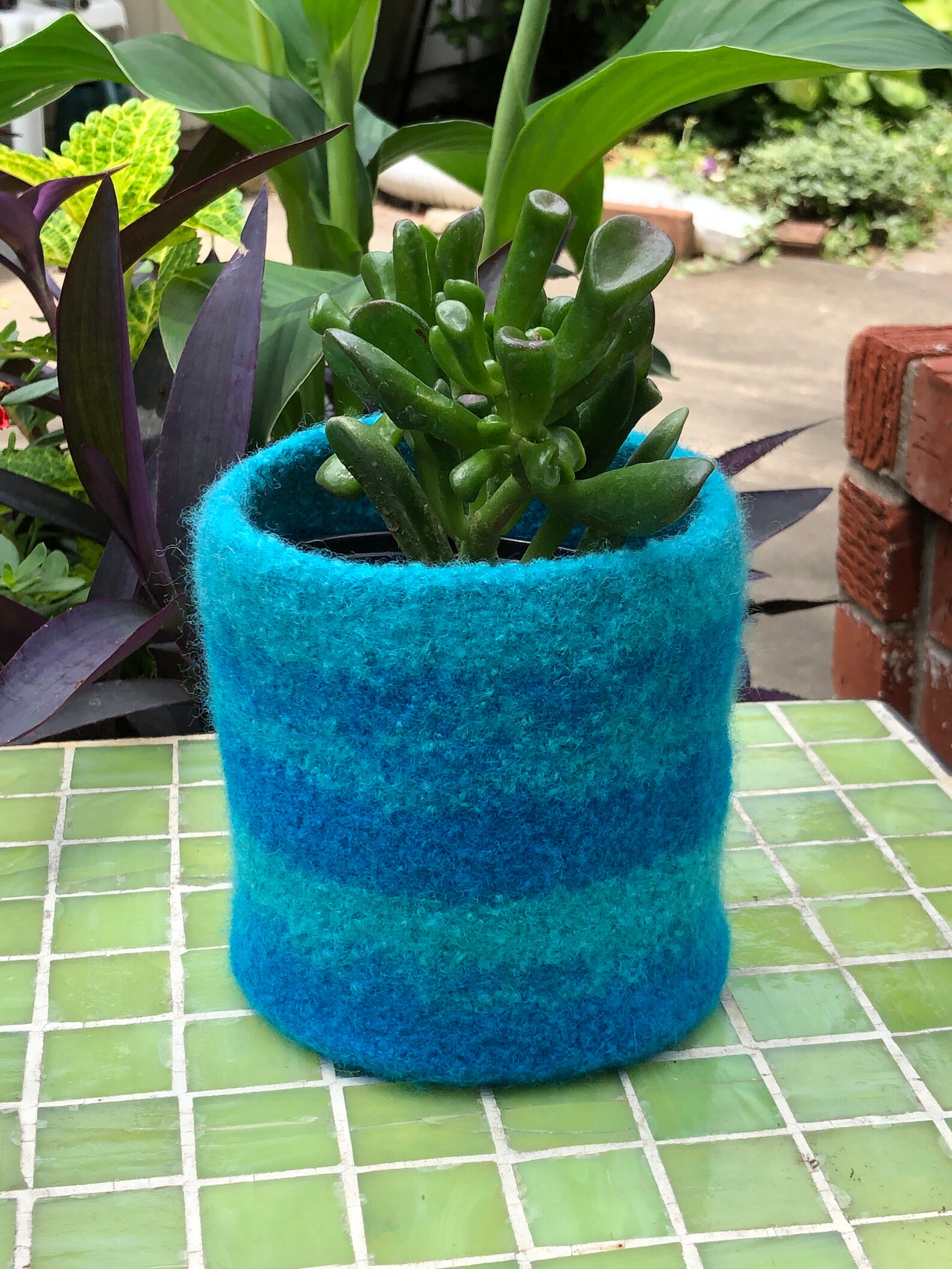 Wool Felted Planter Striped Plant Pot Wool Planter Herb Etsy