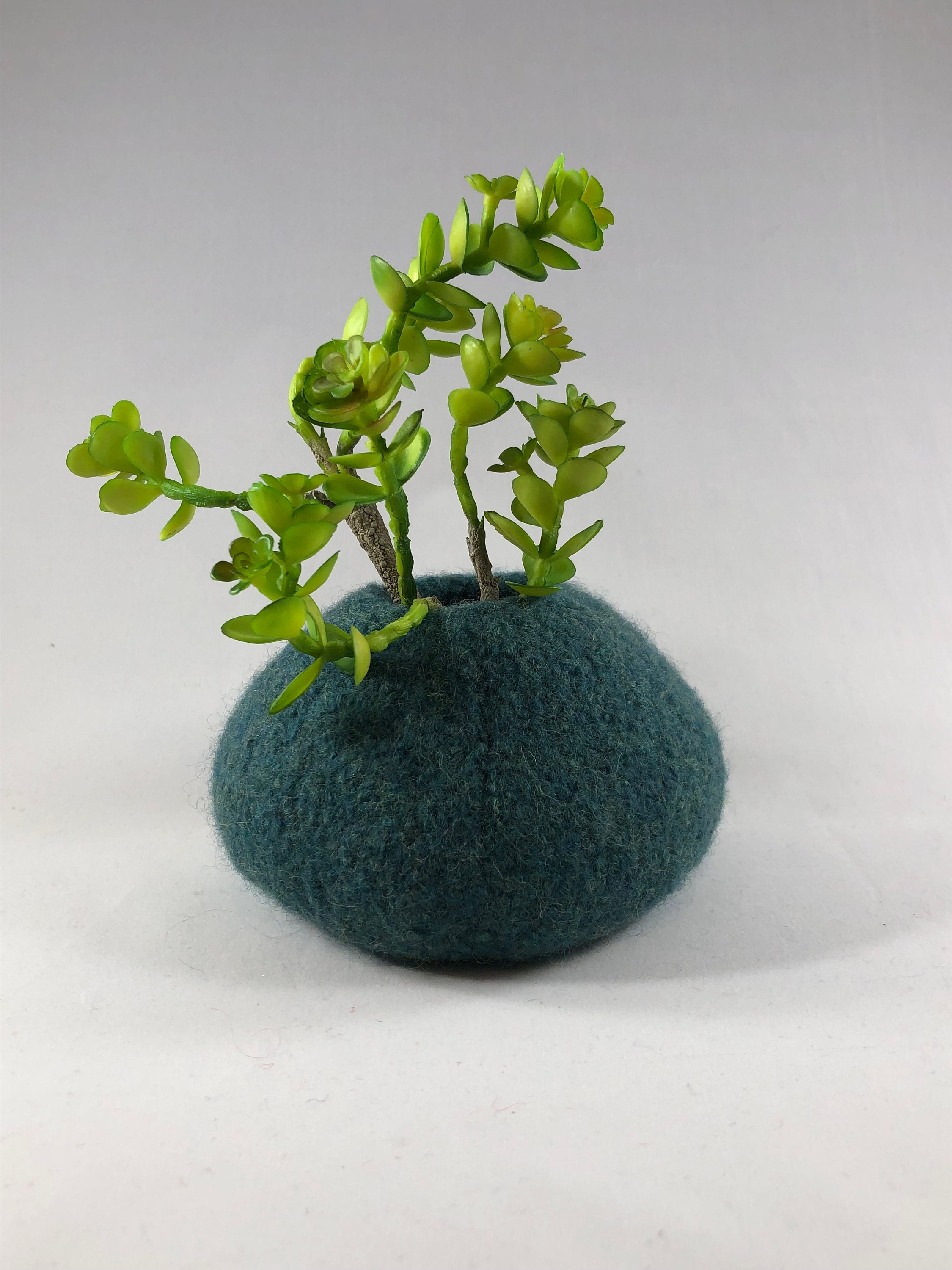 Felted Wool Vase Succulent Planter Modern Planter Air Etsy