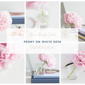 Peony on White Desk | 12 Photos | Styled Stock Images