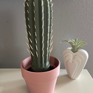 Porta stuzzicadenti a forma di cactus
