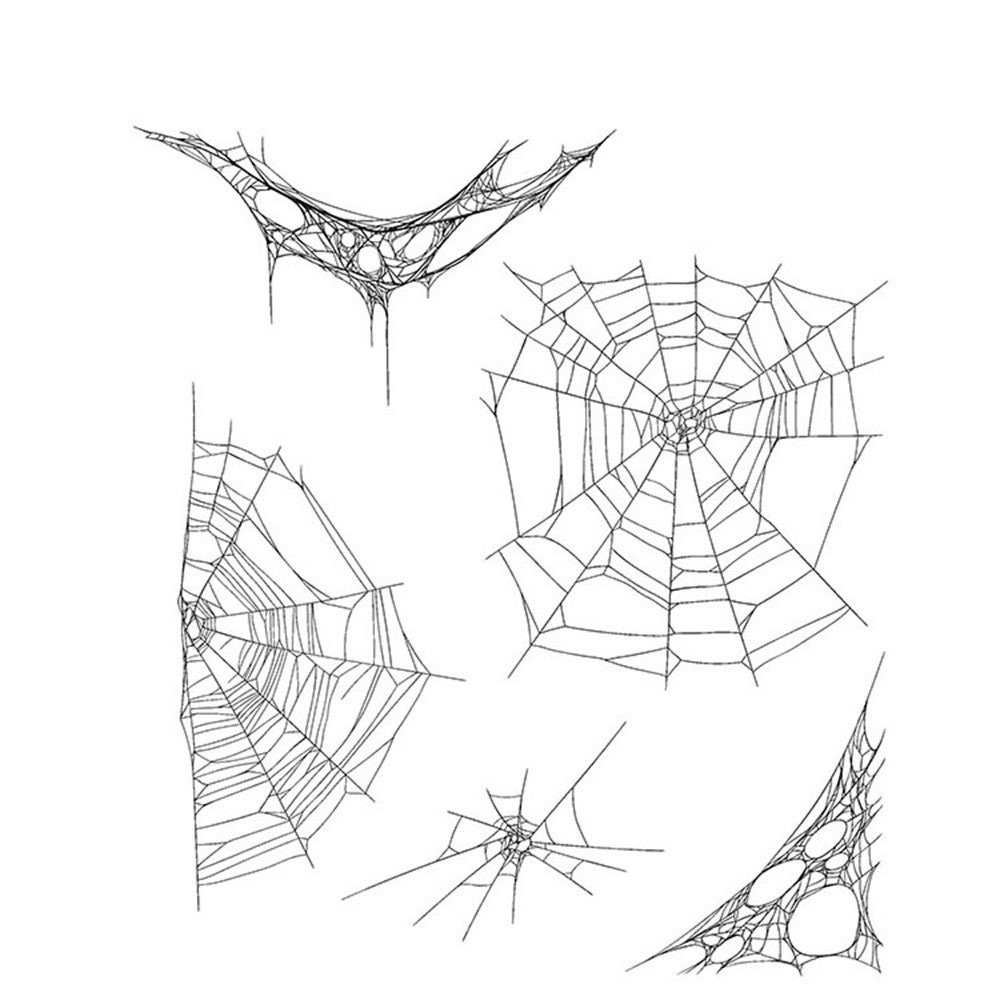Spider 2024 web transparent