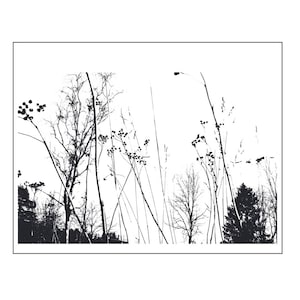 Fondo de ramas de flores silvestres Sellos transparentes Sellos de goma para hacer tarjetas de scrapbooking DIY Hoja de sellos de artista de papel
