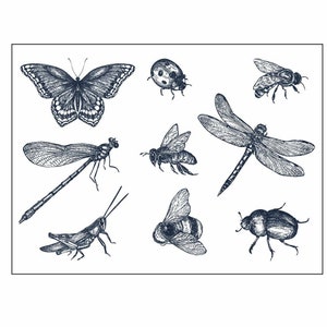 Tipos de insectos Sello / sello de silicona transparente transparente para scrapbooking / álbum de fotos hojas de sellos transparentes decorativos