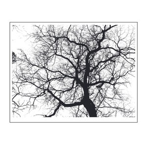 Look up tree branches background Transparent Clear stamps Rubber seals for DIY scrapbooking card making paper artist stamp sheet