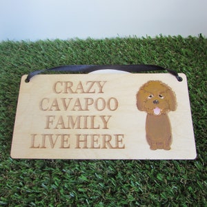 Op de afbeelding: Houten bord met de tekst "CRAZY CAVAPOO FAMILY LIVE HERE" en een bruine Cavapoo-illustratie. Het bord heeft een zwart lint om op te hangen. De achtergrond is groen.