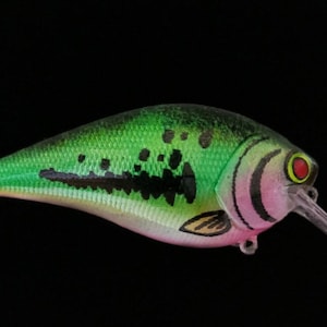 Crankbait personnalisé bille carrée couleur basse avec matériel et livraison gratuite