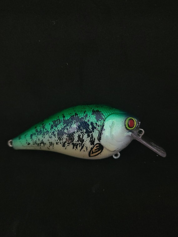 Custom Painted Crappie Lure Design - Etsy Custom Painted Crappie Lure Design - Etsy