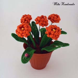 Crochet plant -  España
