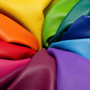 May include: A rainbow of leather swatches arranged in a circle, showcasing different colours and textures.