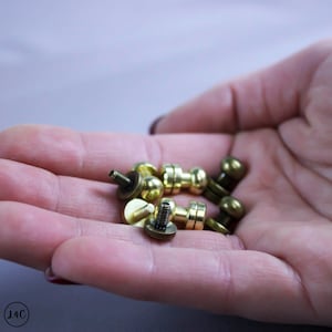Può includere: Primo piano di una mano che tiene un mucchio di piccoli pomelli a vite in metallo dorato. I pomelli hanno una testa rotonda e un gambo filettato.