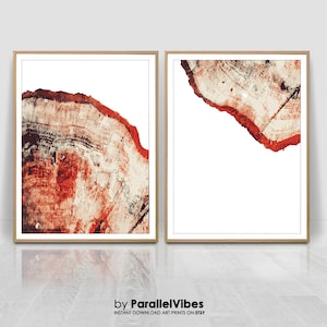 Tree Rings Print, Set of 2 Prints, Red Tree Print, Wood Prints, Log Slice,Minimalist posters, large scale print,home decor,abstract art