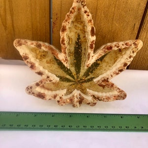 Könnte beinhalten: Eine weiße, blattförmige Schale aus Harz mit einem grünen und goldenen Design. Die Schale ist etwa 15 cm breit.