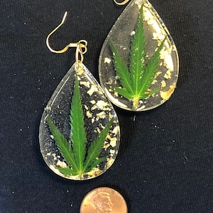 Könnte beinhalten: Ein Paar tropfenförmige Ohrringe mit einem grünen Marihuanablatt, das in klarem Harz und mit Blattgold-Akzenten eingefasst ist. Die Ohrringe sind etwa so groß wie ein deutscher Cent.