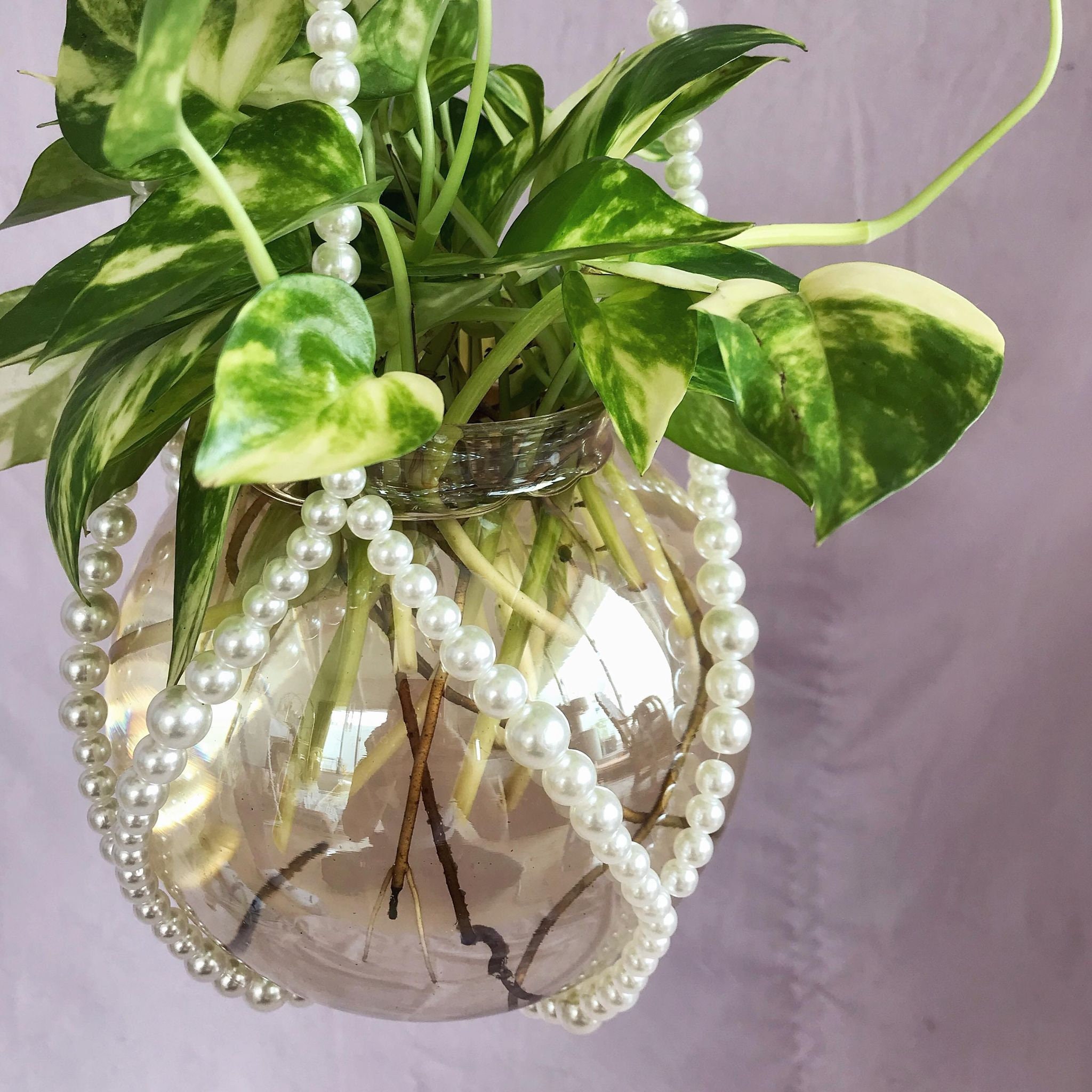 Faux Pearl Beaded Plant Hanger Pretty Plant Hanger Pearl Etsy