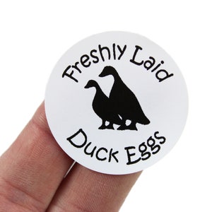 50 x Freshly laid Duck Egg labels / stickers. 40mm Diameter - Permanent Adhesive. Available in White, Orange & Blue.