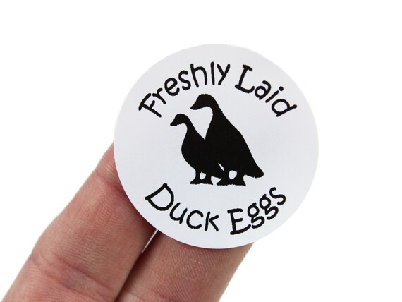50 X Freshly Laid Duck Egg Labels / Stickers. 40mm Diameter - Etsy