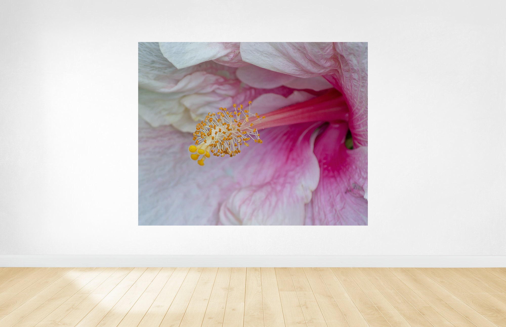 flower-photography-wall-art-print-digital-download-large-etsy-uk
