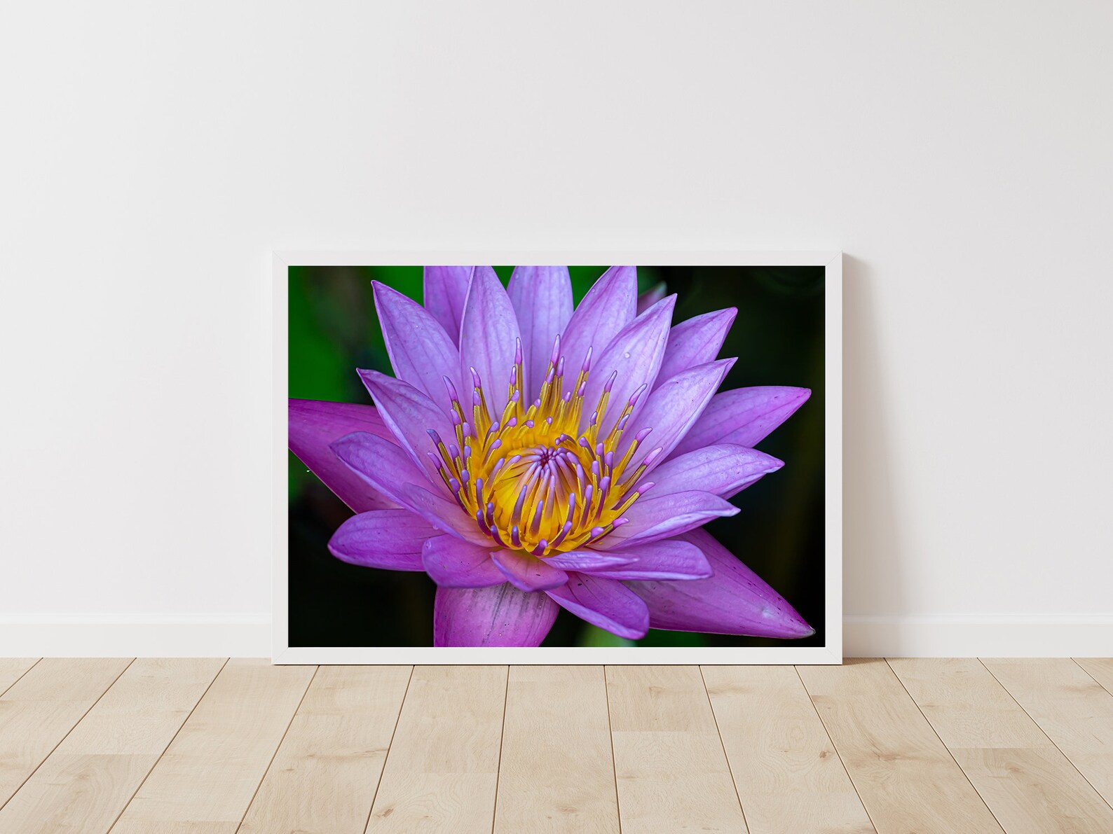 Pink Lotus Flower Photography Wall Art Print Digital Etsy