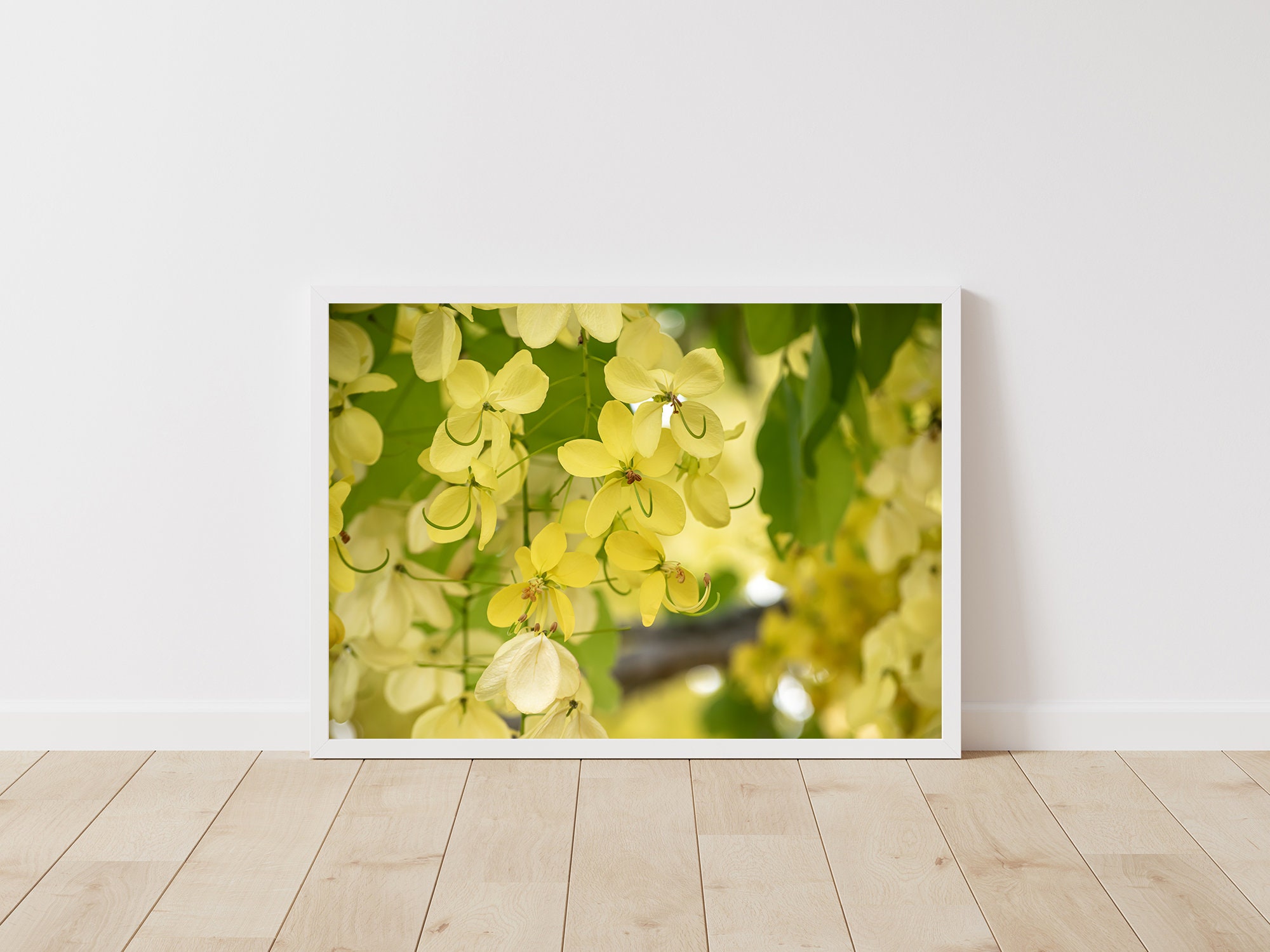 Yellow Flower Photography Wall Art Print Digital Download Etsy Espa a yellow-flower-photography-wall-art-print-digital-download-etsy-espa-a