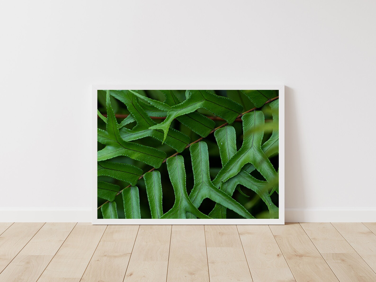 Green Fern Photography Wall Art Print Digital Download Large Etsy