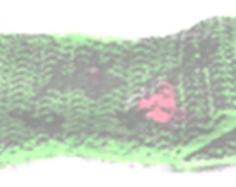 Crochet Alligator Barbecue Mitt PDF Instructions, Crochet Alligator BBQ Mitt PDF Instructions