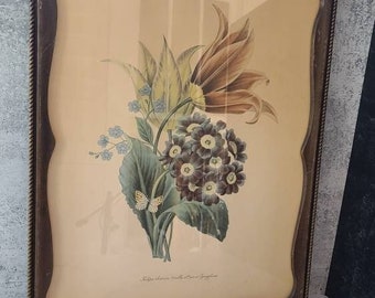 Wood Framed Floral Print