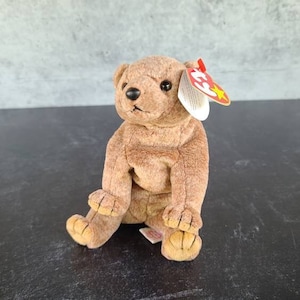 TY Pecan the Bear Beanie Baby