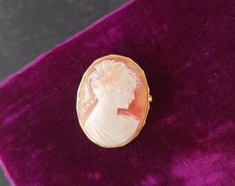 Rechts gerichte vintage cameo broche