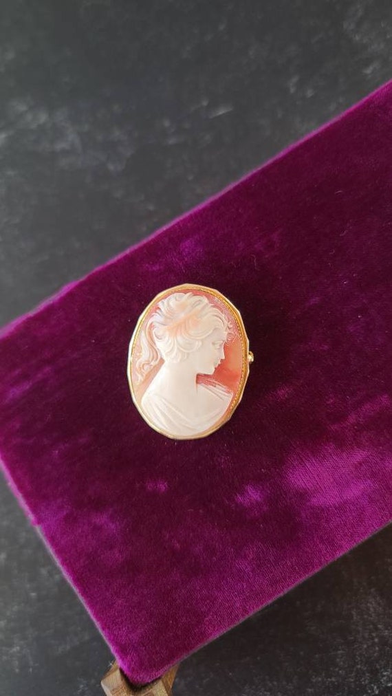 Right Facing Vintage Cameo Brooch