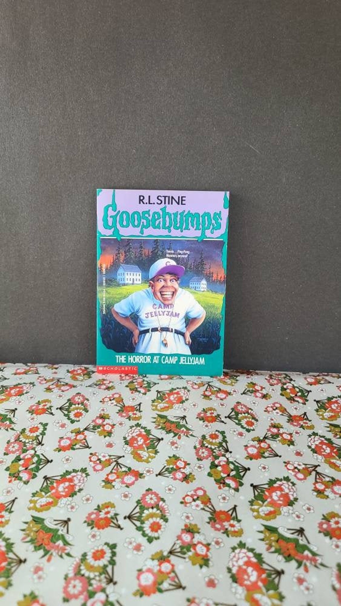 goosebumps camp jellyjam goosebumps camp jellyjam