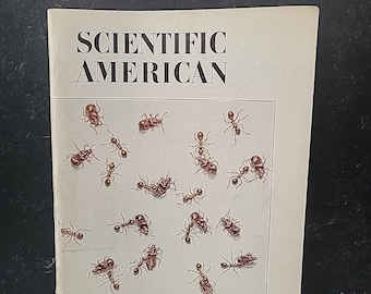 Revista Scientific American-Las hormigas y sus invitados