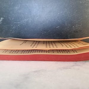 El ángel negro de Bettina Kingsley (libro de bolsillo) imagen 10