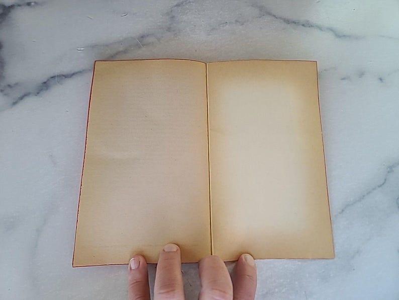 El ángel negro de Bettina Kingsley (libro de bolsillo) imagen 7