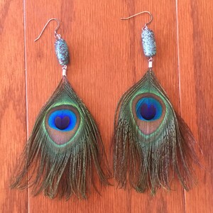 May include: A pair of long, dangling earrings with peacock feathers and turquoise blue stones. The feathers are green, blue, and brown.
