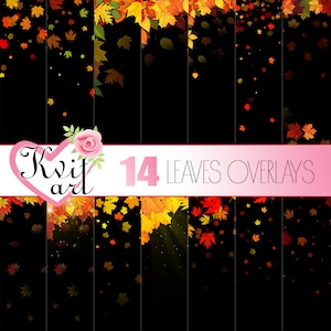 Fall Leaves Overlay Set. Direct downloaden. Herfstblad Clipart. DIY foto. Transparante rug. Bruiloft verjaardag zwart goud oranje decoratie