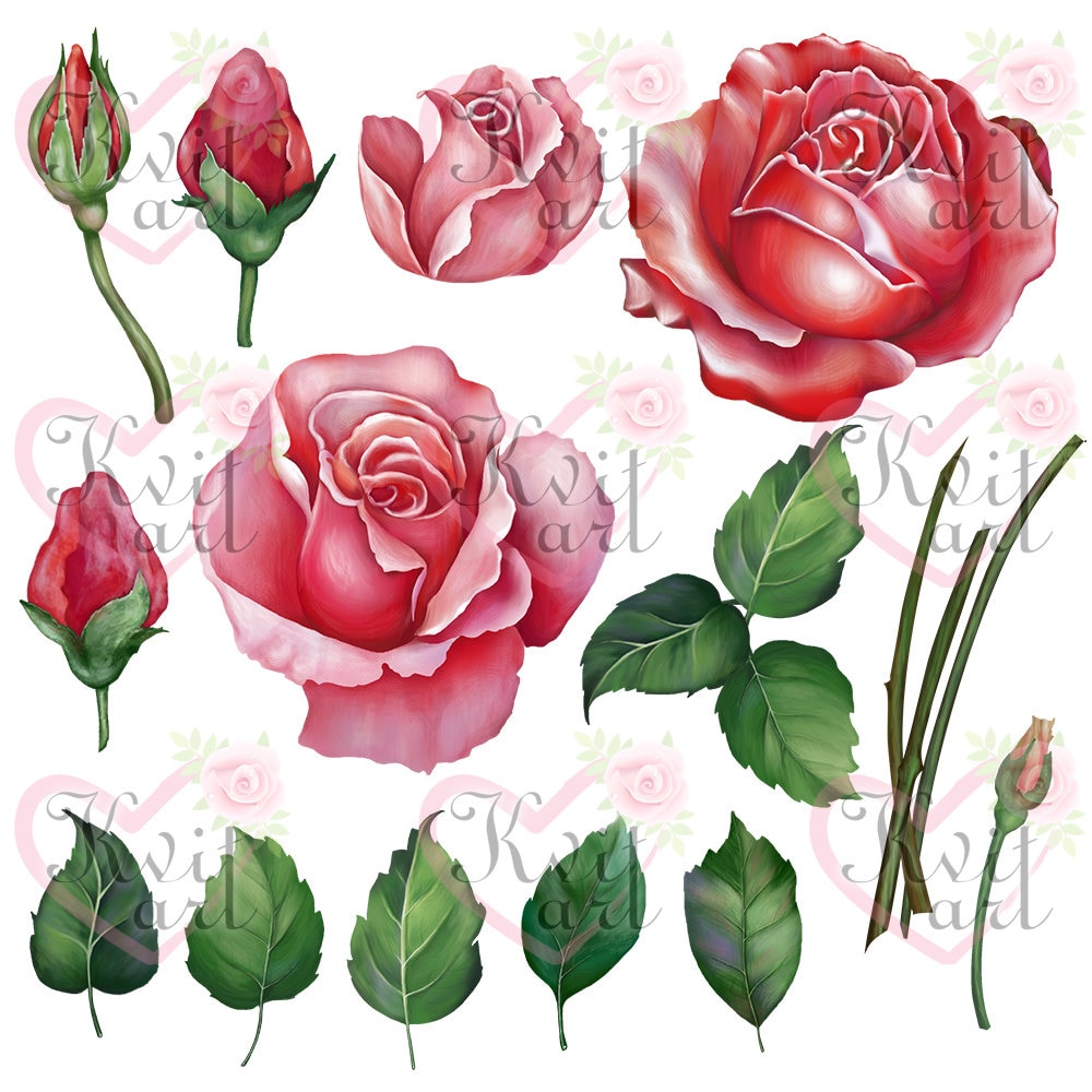 Rustic Roses Digital Cliparts 12x12 Inches Png Files Rustic Diy Projects Wedding Birthday Clip Art Template