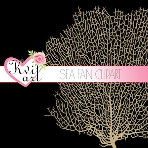 Sea Fan Clipart: Nautical Coral PNG Graphics (Digital Download) Transparent Backs