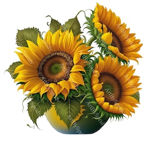 Imágenes prediseñadas de girasol PNG, imágenes prediseñadas de flores digitales dibujadas a mano, ilustración de acuarela, imágenes prediseñadas de flores de verano, manualidades de bricolaje, invitaciones, impresiones