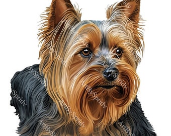 Adorabile Yorkshire Terrier cane PNG Clipart, download digitale Clip Art per Scrapbooking, sublimazione di t-shirt, artigianato fai da te, Scrapbooking