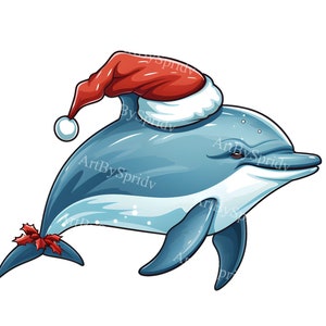 Weihnachten Delphin Clipart PNG, Urlaub Fisch Illustration, Festliche Nikolausmütze Delphin Kunst, Transparente Meerestier, Weihnachten Digital Download
