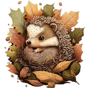 Erizo bebé en hojas de otoño PNG Clipart, acogedora ilustración de animal de otoño, clip art transparente para manualidades, pegatinas, decoración de temporada, camisetas