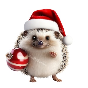 Joli hérisson avec bonnet de Noel Noël Clipart PNG Transparent, conception de dessin animé enfants/adultes, sublimation imprimable, commercial, clipart animaux