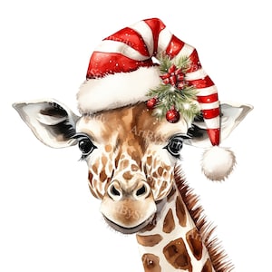 Girafe de Noël avec bonnet de Noel PNG Transparent Clipart, dessin animé enfants/adultes, sublimation imprimable, commercial, animal magique Clip Art