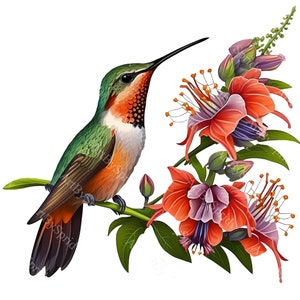 Colibrí con flores exóticas PNG Clipart, Clip Art de pájaro floral para sublimación de camisetas, tarjetas, arte de pared, proyecto de manualidades de bricolaje, decoración del hogar
