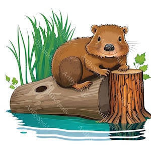 Beaver Clipart PNG, Cute Woodland Animal on Log Illustration, Perfect for Digital Designs, DIY Crafts, Stickers, Invitations, Sublimation