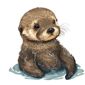 Baby Sea Otter PNG Clipart,Transparent Animal Lover Print Kids Clip Art,Commercial,Cute Cartoon Design,DIY Printable Sublimation T-Shirt,Mug